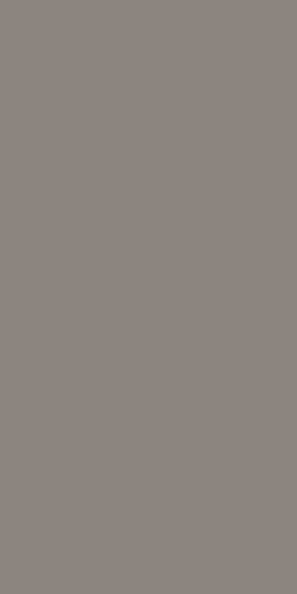 AVELLANA GREY