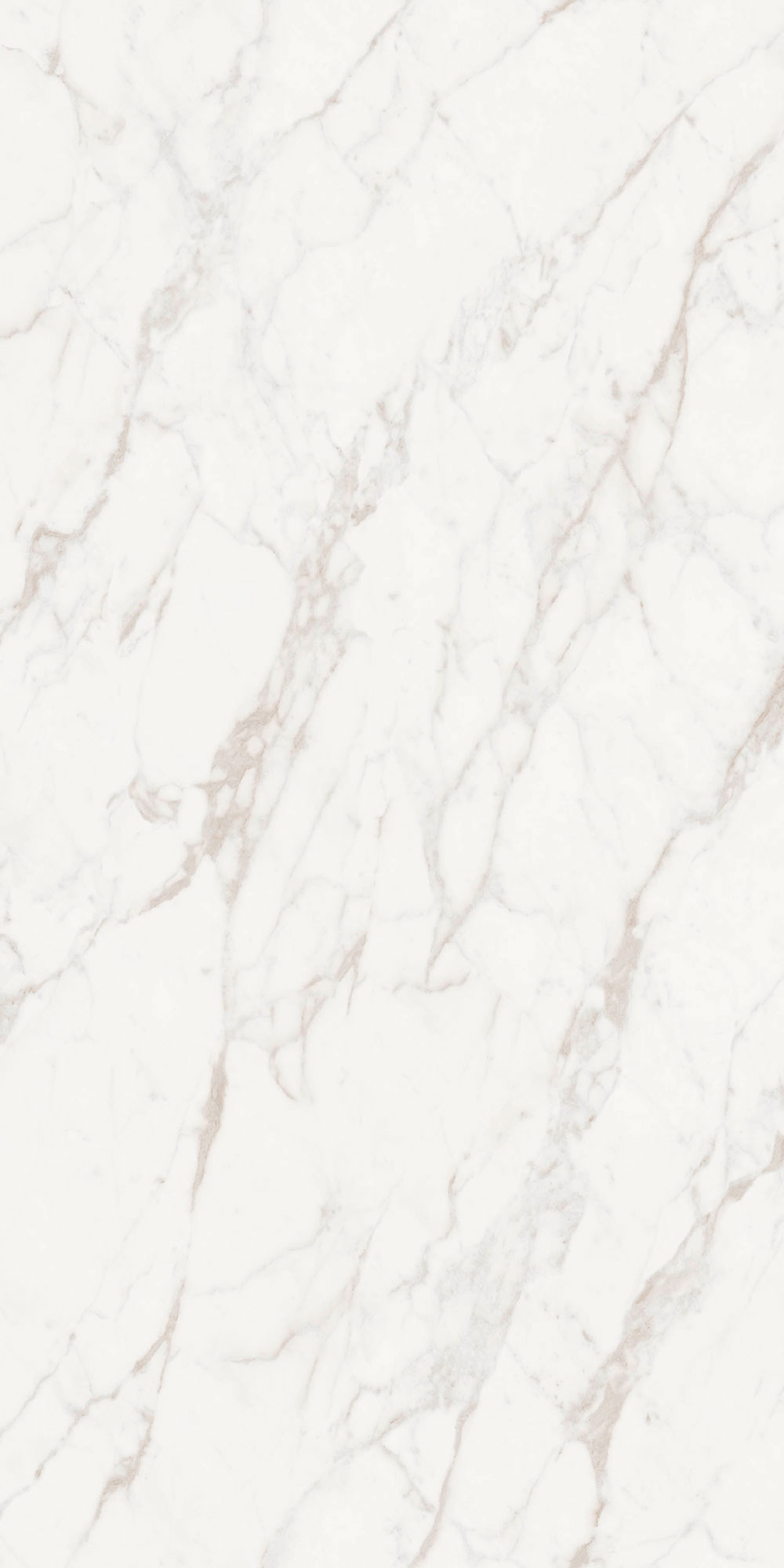 CARRARA