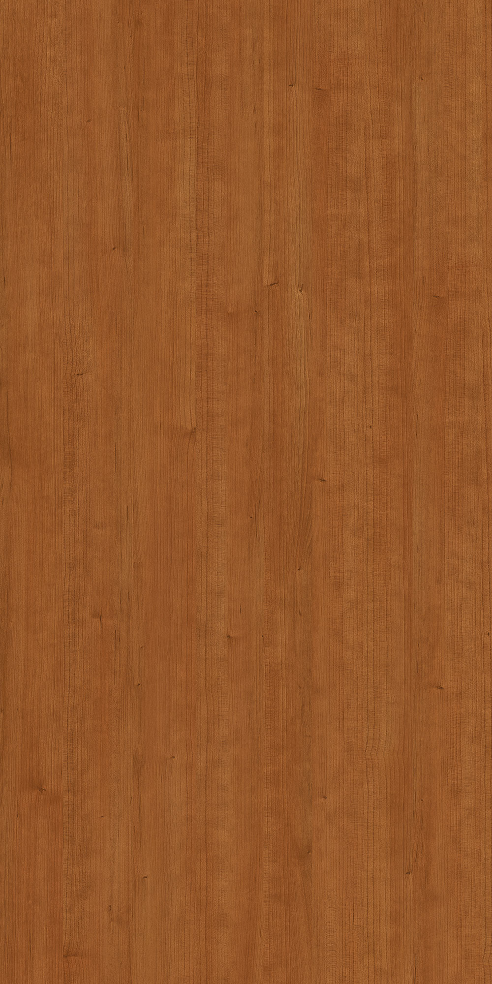 CERVANTES CHERRY