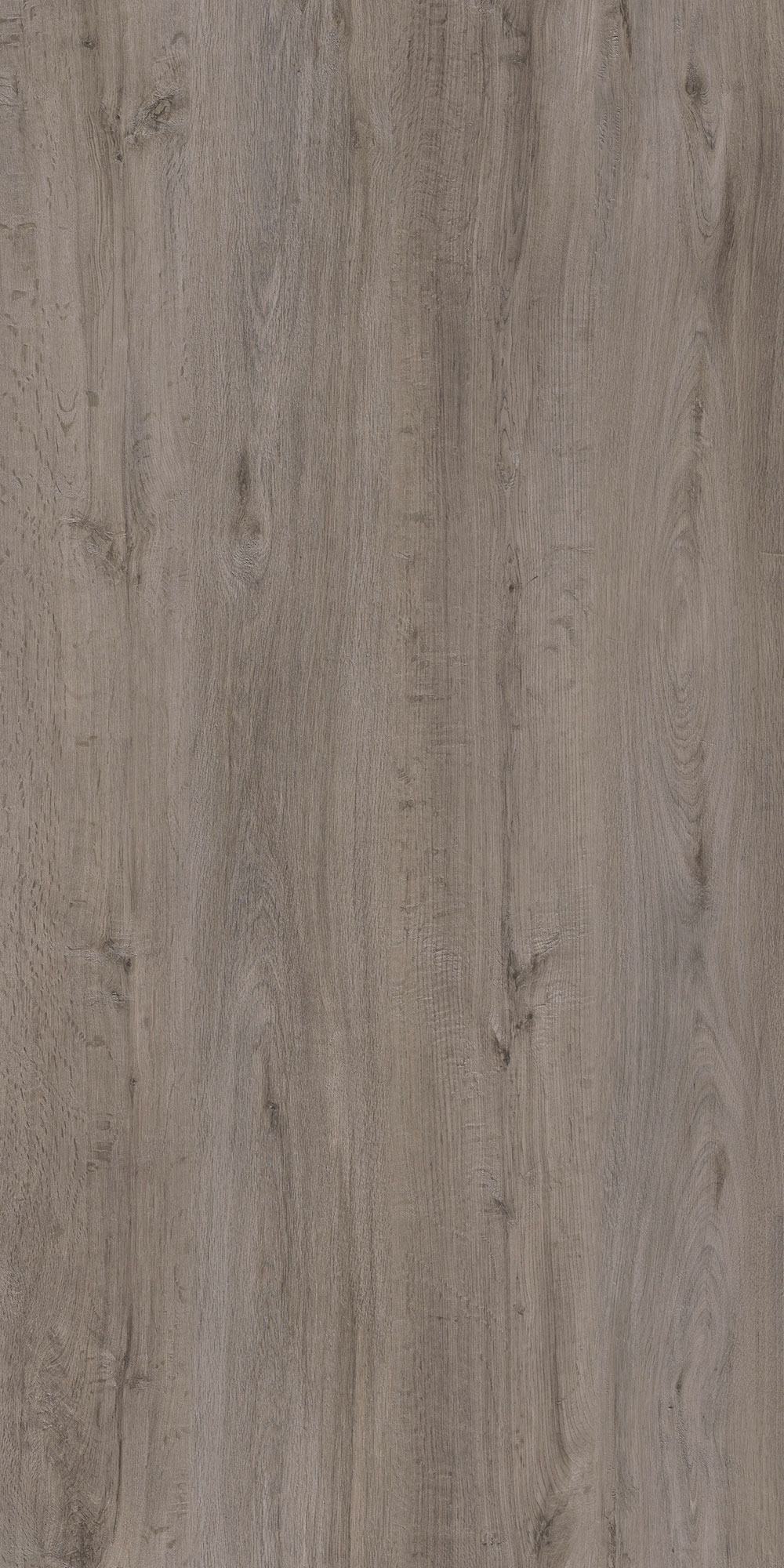 SANABRIA OAK