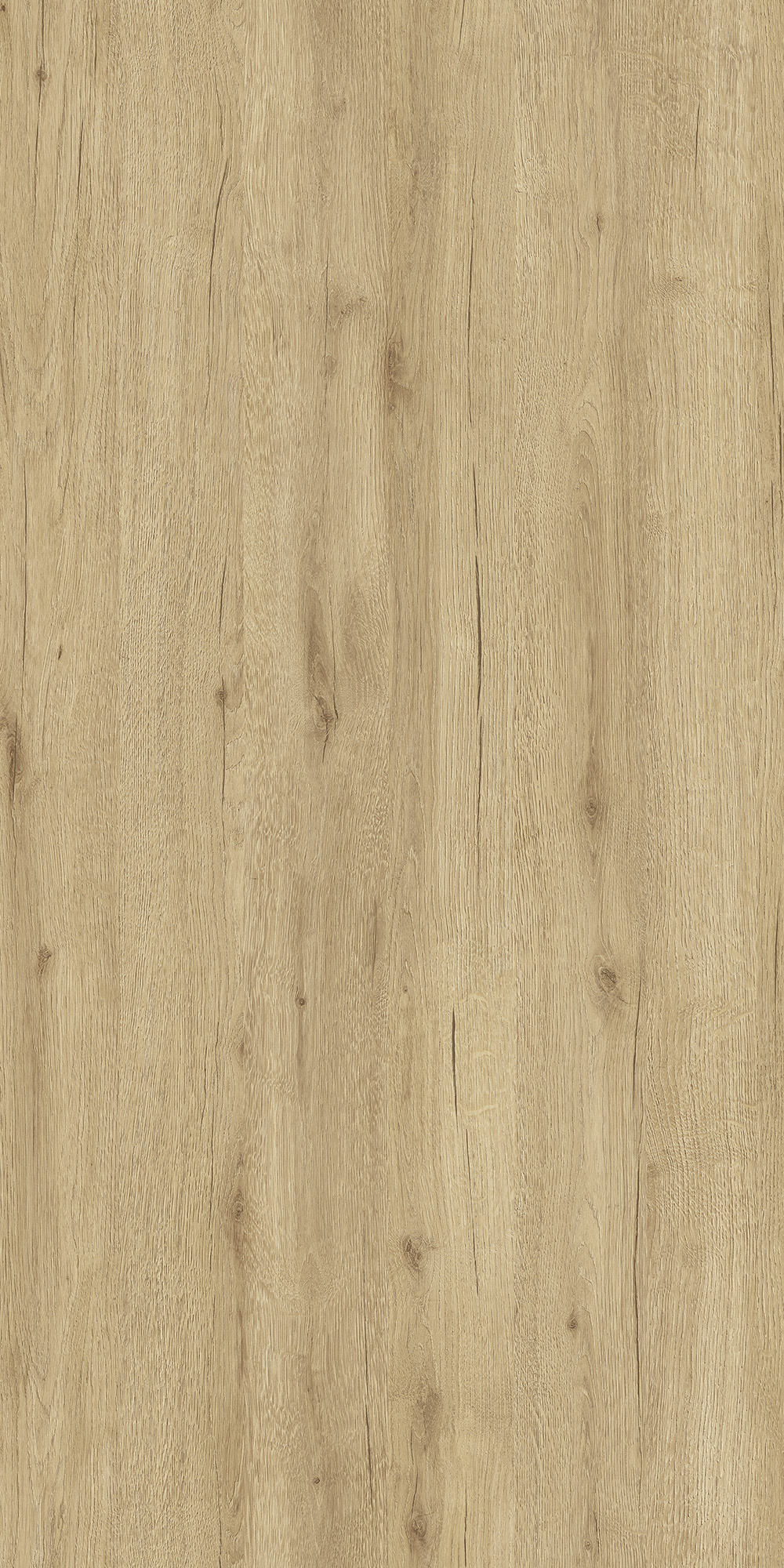 CASABLANCA OAK