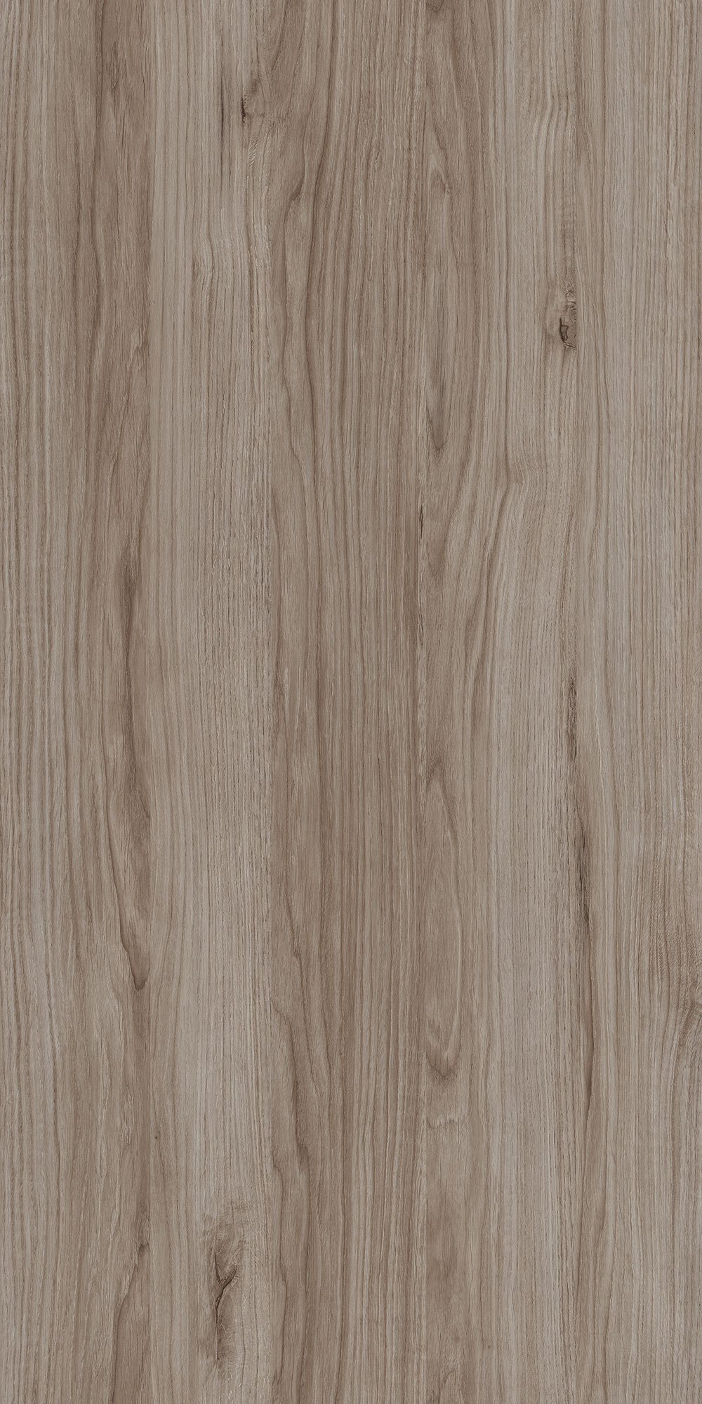 GREDOS OAK
