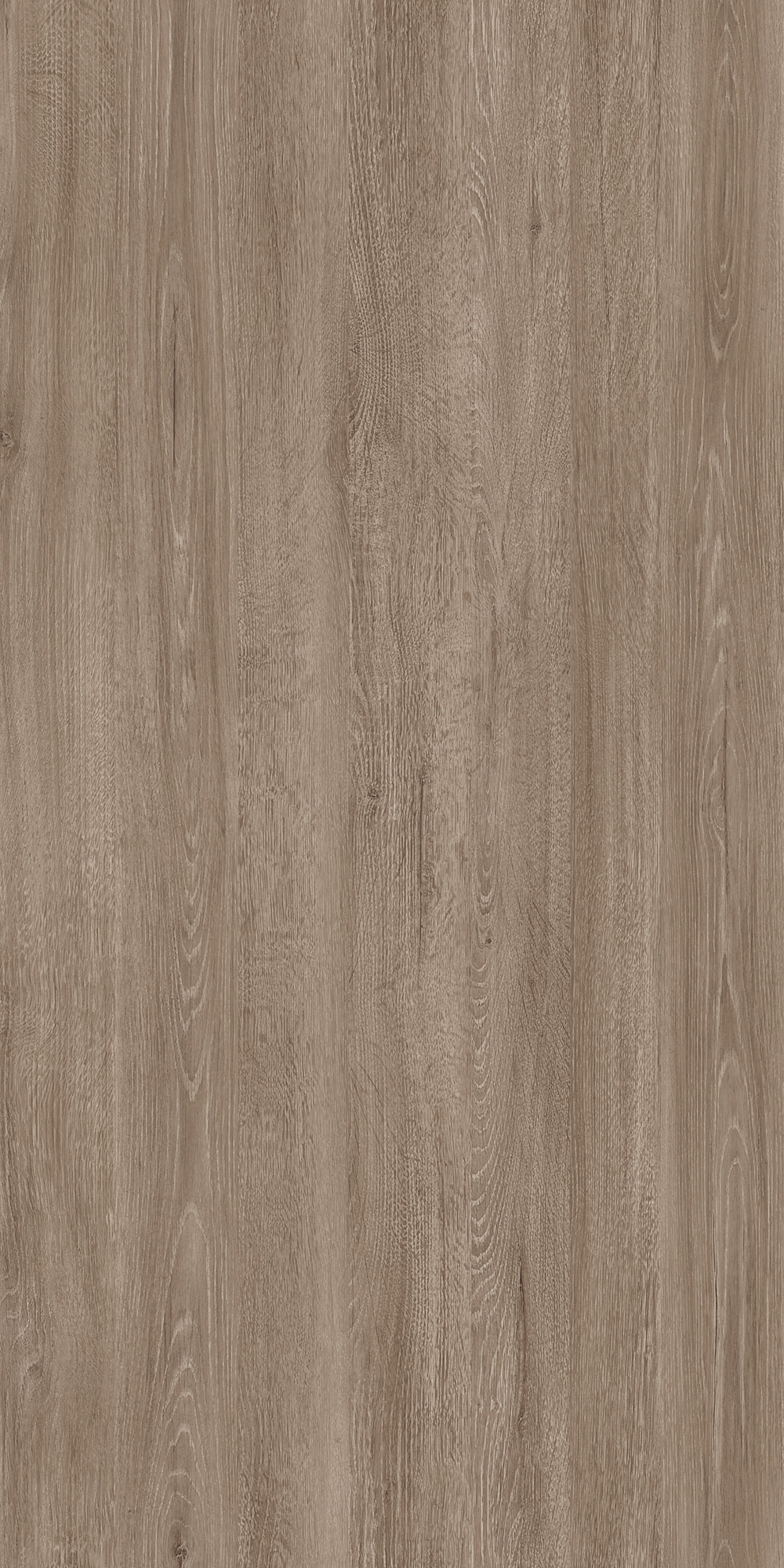 LUCENA OAK
