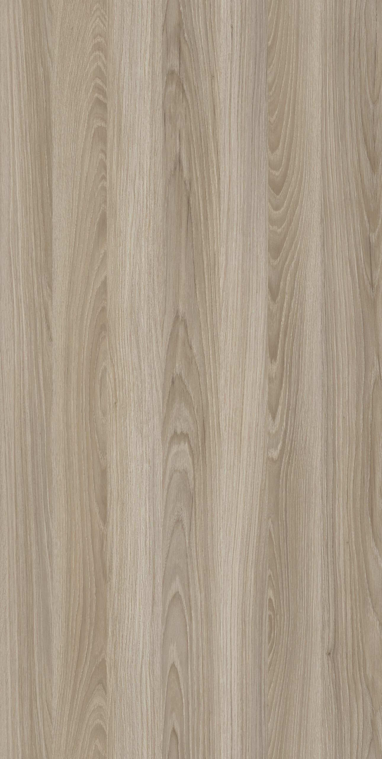 DELBARCO OAK
