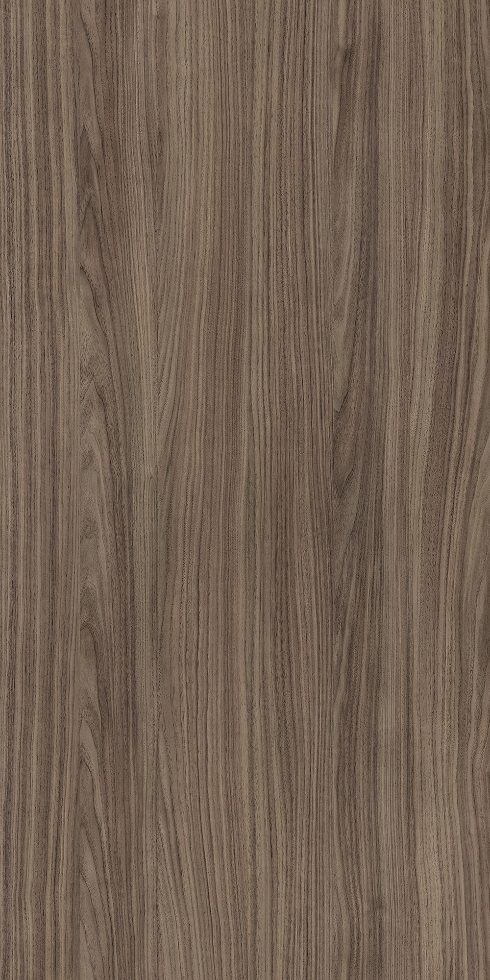 VALENCIA WALNUT