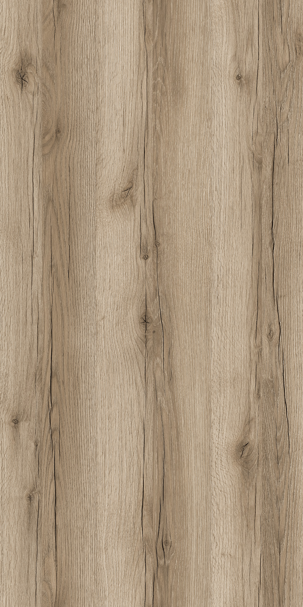 ARABIAN OAK