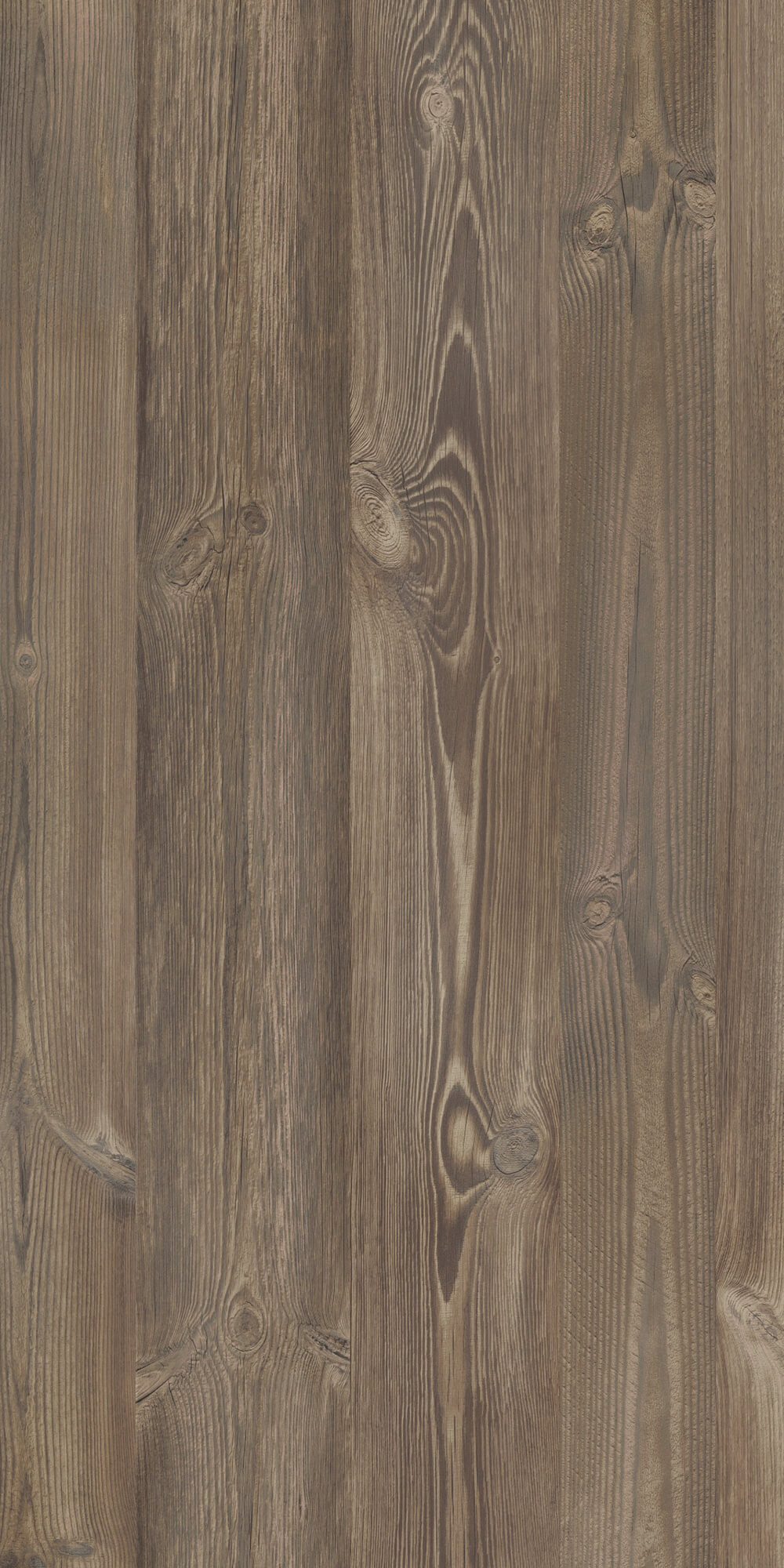 BY RUSTIC ARDENAS