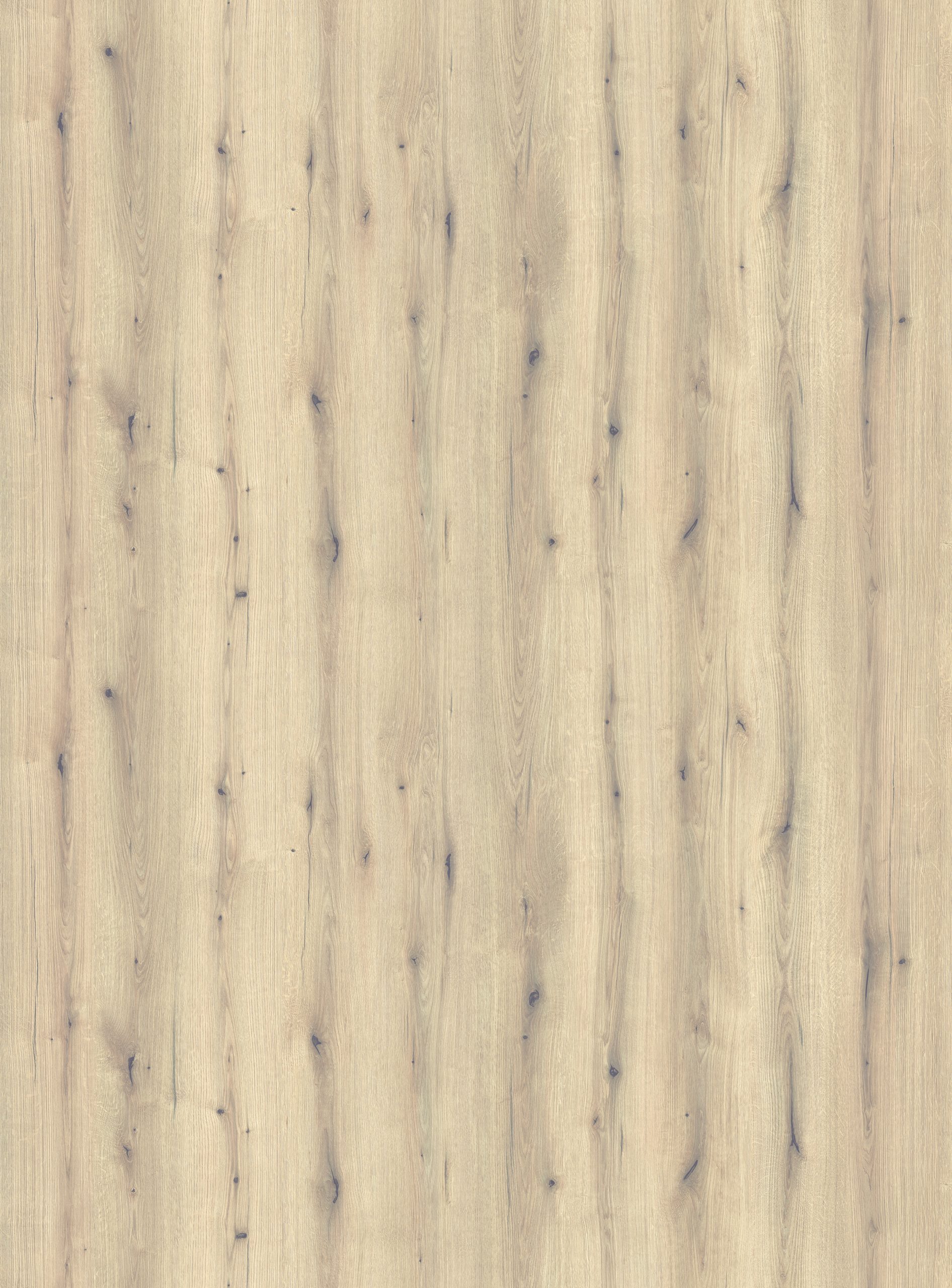 REGISTER 7 / DESIGN 4