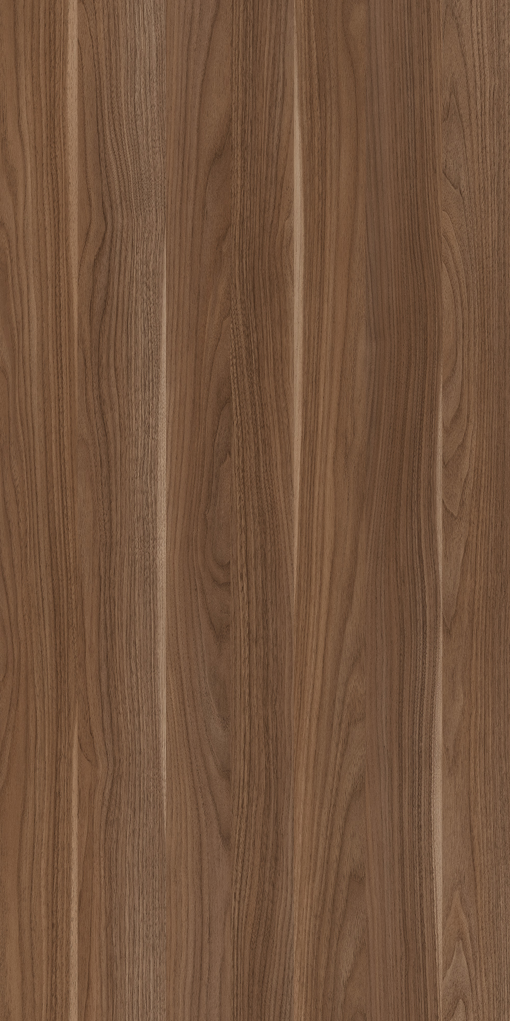RIEU WALNUT