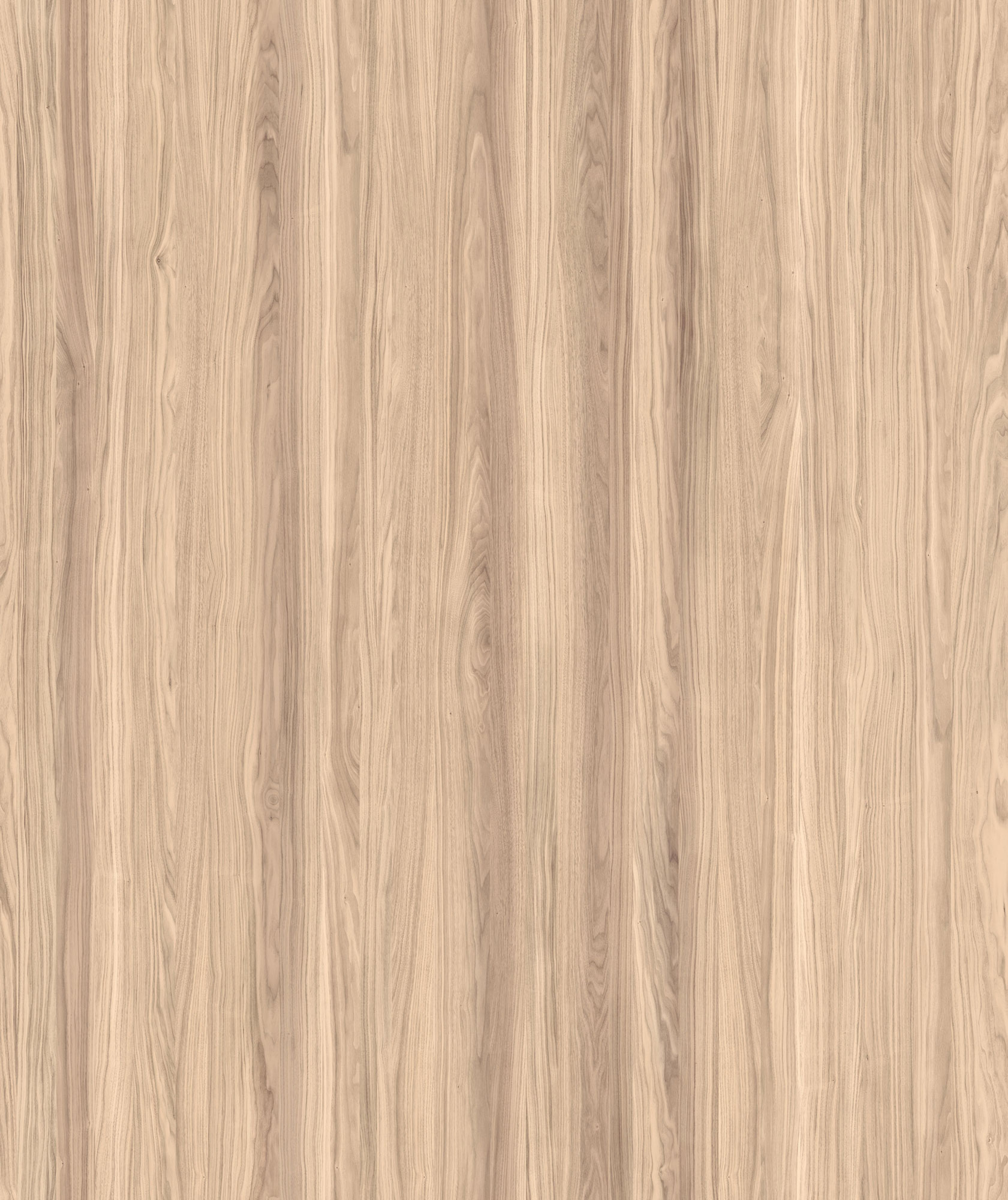 WALNUT WALDO