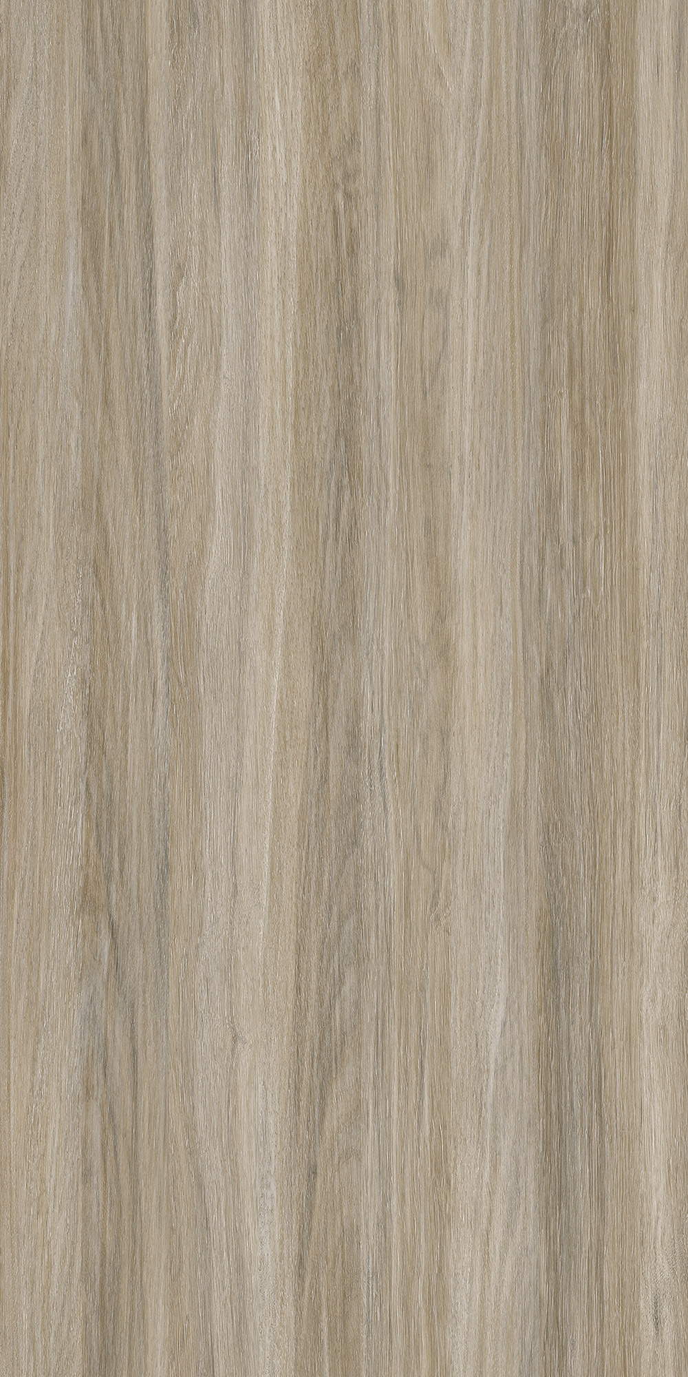 MONTESA OAK